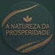 A NATUREZA DA PROSPERIDADE