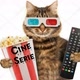 Cine Serie