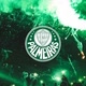 Edits Palmeiras
