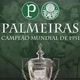 palmeiras  primeiro campeão mundial