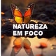 Natureza em foco