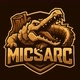 micsarc