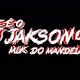 ESSE É DJ JAKSON 011😎💯