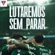 Palmeiras sjp_sep.33