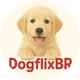 dogflixbr