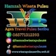 Hamzah（ Agen Travel Pulau Seribu ）