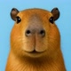 capybara