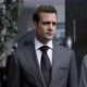 Harvey Specter