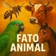 FatoAnimal