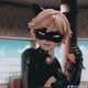 Cat noir
