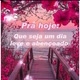 Mensagens diárias ❤️🌹🌻