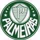 PALMEIRAS OFICIAL