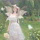 fairy soso