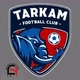 🔥SNS🔥Tarkam Football Club