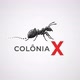 Colonia-X