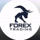 forex treding