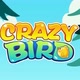 crazy bird