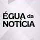 ÉGUA DA NOTÍCIA!