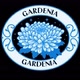 Gardenia_11