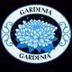 Gardenia_18