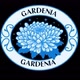Gardenia_20