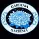 Gardenia_46