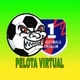 PELOTA VIRTUAL ⚽🏆