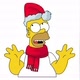✨☃️HOMER🎄✨