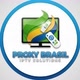 Proxy Brasil