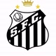 Santosfc