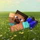 MR. MINECRAFT