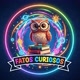 Fatos Curiosos