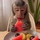 Macaquinho Mukbang
