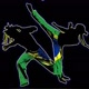 CAPOEIRISTA