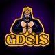 GDoisGames