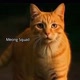 Meong Squad