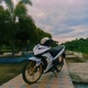 mx king putih