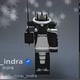 rip_indra
