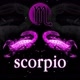 👉🦂👀♏ESCORPIÓN ♏👀🦂👈BICHITODJS