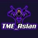 TME_ayslan