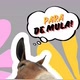 Para de mula