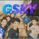 gsky03