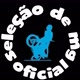 seleçãodemg.oficial