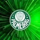 _palmeiras oficial_