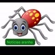 NOTÍCIAS ARANHA💰
