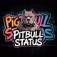 Pitbull_status