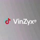 VinZyx