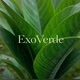 ExoVerde