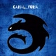 canal_furia