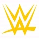 fã wwe wrestling 2